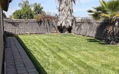 Photo of John G.'s yard after getting lawn care in Visalia, CA