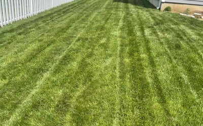 Photo of Ann H.'s yard after getting lawn care in Brick, NJ