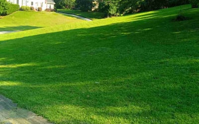 Photo of Sharolyn G.'s yard after getting lawn care in Macon, GA