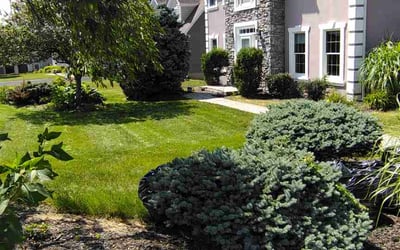 Photo of Linda D.'s yard after getting lawn care in Willoughby, OH