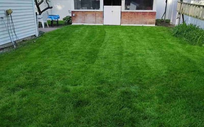 Photo of Ann L.'s yard after getting lawn care in Tewksbury, MA