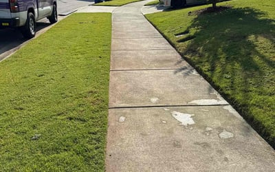 Photo of Erika S.'s yard after getting lawn care in Acworth, GA