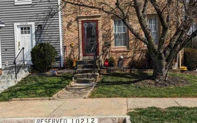 Photo of Frank C.'s yard after getting lawn care in Millville, NJ
