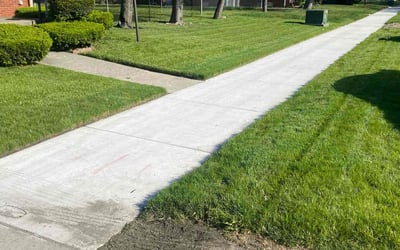 Photo of Asraful R.'s yard after getting lawn care in Hamtramck, MI