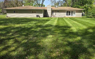 Photo of Felicia B.'s yard after getting lawn care in Dearborn, MI
