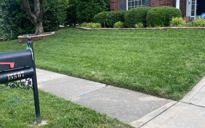 Photo of Jacqueline D.'s yard after getting lawn care in Seminole, FL