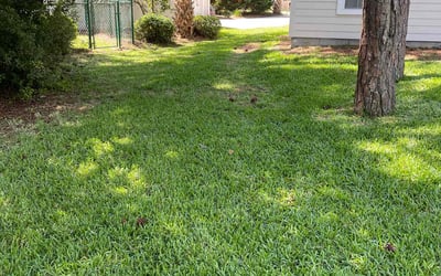 Photo of Devonna K.'s yard after getting lawn care in Wheeling, WV