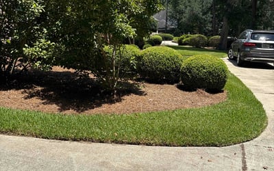 Photo of Rachel R.'s yard after getting lawn care in Hope Mills, NC