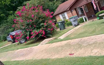Photo of James P.'s yard after getting lawn care in Portland, OR