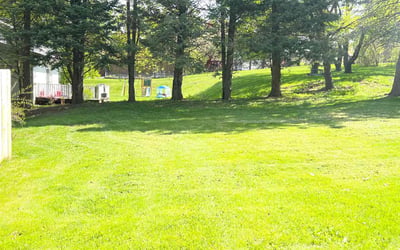 Photo of Scott S.'s yard after getting lawn care in Fulton, NY