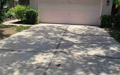 Photo of Thaddius H.'s yard after getting lawn care in Moss Point, MS