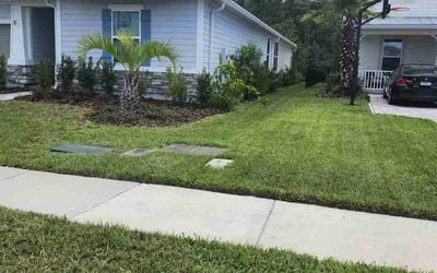 Photo of Mark S.'s yard after getting lawn care in Sebastian, FL