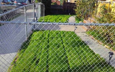Photo of Paul L.'s yard after getting lawn care in Gilroy, CA