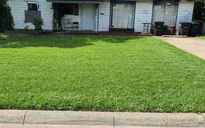 Photo of Wendy M.'s yard after getting lawn care in Gallatin, TN
