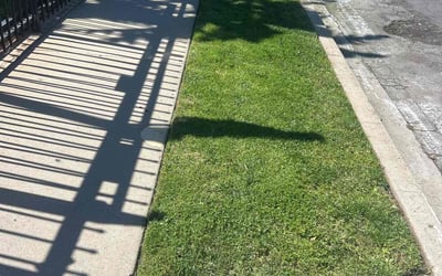 Photo of Karen R.'s yard after getting lawn care in Canoga Park, CA