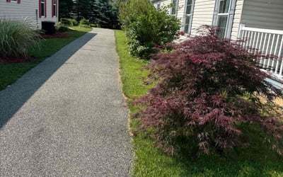 Photo of Tony B.'s yard after getting lawn care in Poinciana, FL
