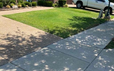 Photo of Zach Y.'s yard after getting lawn care in Brownsville, TX