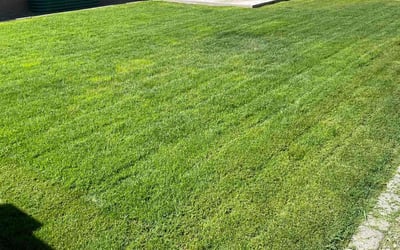Photo of Lonnie C.'s yard after getting lawn care in Queen Creek, AZ