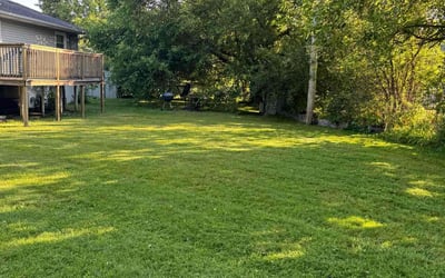 Photo of Charlene M.'s yard after getting lawn care in Orange City, FL
