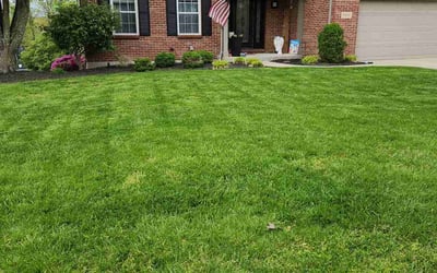 Photo of Richard S.'s yard after getting lawn care in Cleves, OH
