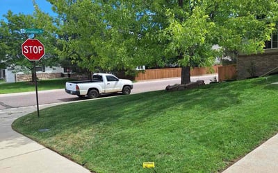 Photo of Sven T.'s yard after getting lawn care in Thornton, CO