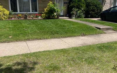 Photo of Kyle B.'s yard after getting lawn care in Carmel, IN