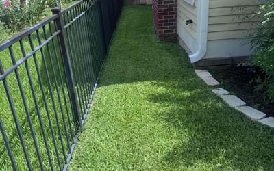 Photo of Victor Z.'s yard after getting lawn care in East Peoria, IL