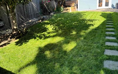 Photo of Sophia G.'s yard after getting lawn care in Beaverton, OR