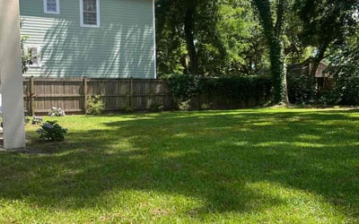 Photo of Jeni L.'s yard after getting lawn care in Red Bank, NJ