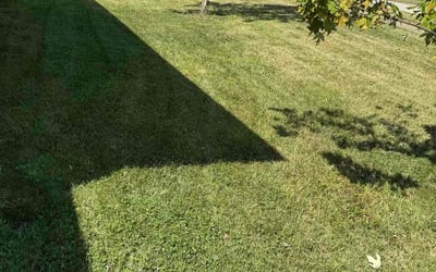 Photo of Carlos R.'s yard after getting lawn care in South Plainfield, NJ