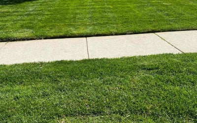 Photo of Luminita L.'s yard after getting lawn care in Riverview, MI