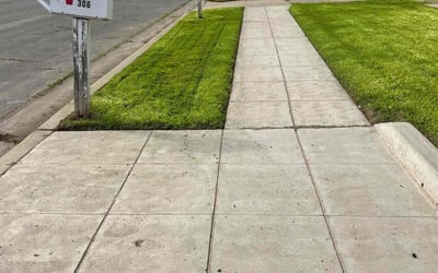 Photo of Anna L.'s yard after getting lawn care in Reedley, CA