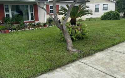 Photo of Lutricia L.'s yard after getting lawn care in Petersburg, VA