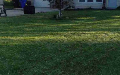 Photo of Nena L.'s yard after getting lawn care in Kaukauna, WI