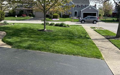 Photo of Ross W.'s yard after getting lawn care in Vineland, NJ