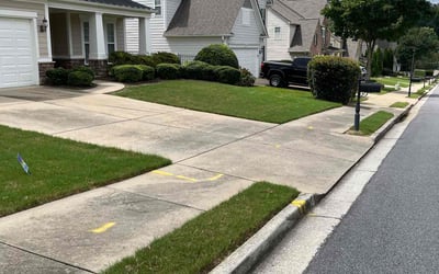 Photo of Candice C.'s yard after getting lawn care in Channelview, TX