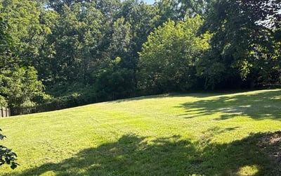 Photo of Renuka E.'s yard after getting lawn care in Georgetown, TX