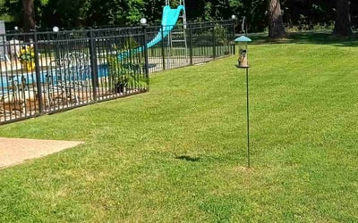 Photo of Julei B.'s yard after getting lawn care in Abingdon, VA