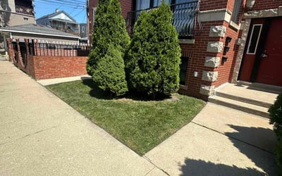 Photo of Joel Z.'s yard after getting lawn care in Chicago, IL