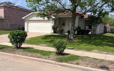Photo of Celeste F.'s yard after getting lawn care in Smithtown, NY