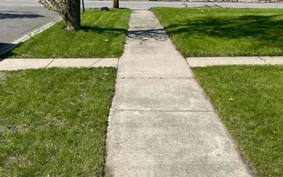 Photo of Gustavo W.'s yard after getting lawn care in Sugar Land, TX