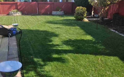 Photo of Patti G.'s yard after getting lawn care in Union, KY