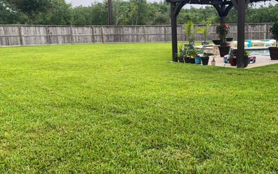 Photo of Brian L.'s yard after getting lawn care in Grand Blanc, MI
