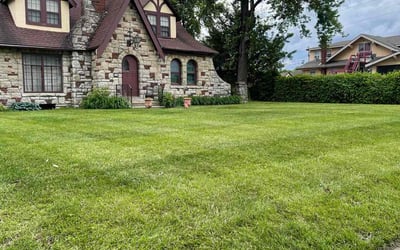 Photo of Dustin S.'s yard after getting lawn care in Callahan, FL