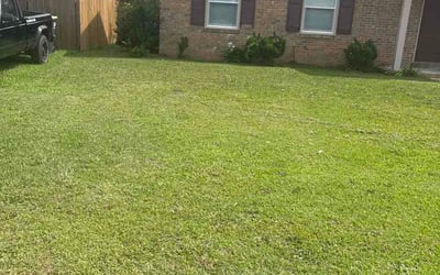Photo of David W.'s yard after getting lawn care in Ocean City, NJ