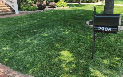 Photo of Kiara B.'s yard after getting lawn care in South Amboy, NJ