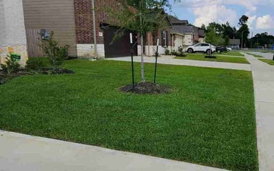 Photo of Nolan M.'s yard after getting lawn care in Tomball, TX