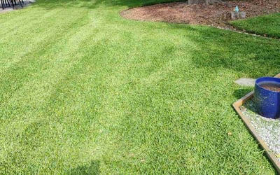 Photo of Carmen L.'s yard after getting lawn care in North Port, FL