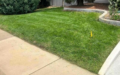Photo of Jennifer P.'s yard after getting lawn care in Shakopee, MN