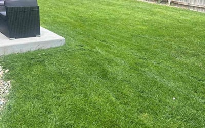 Photo of Heidi L.'s yard after getting lawn care in Wausau, WI